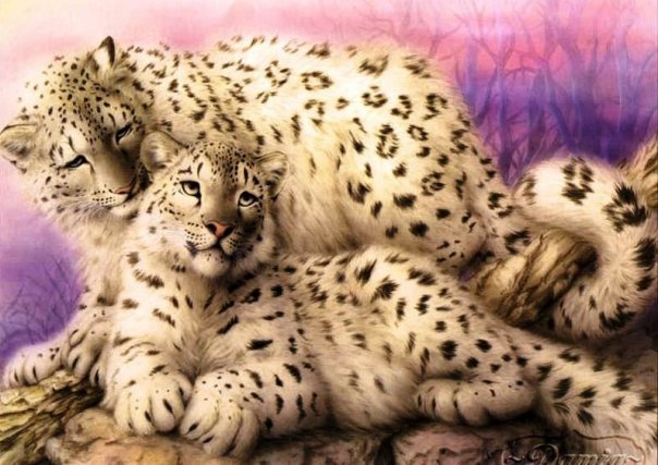 №209484 - оригинал