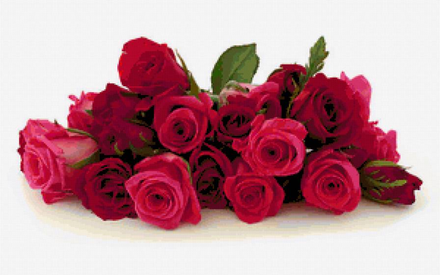 №209489 - предпросмотр