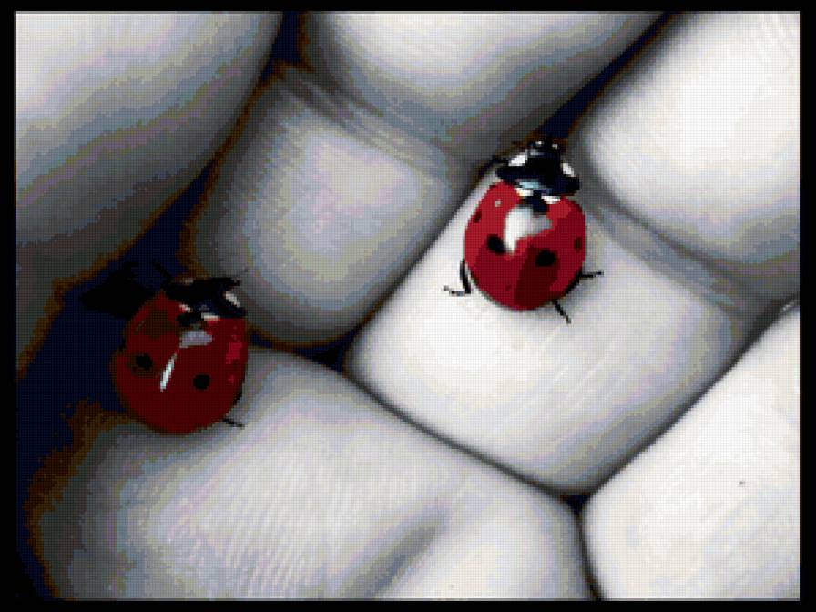 природа - предпросмотр