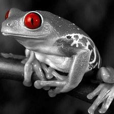 Схема вышивки «Природа»