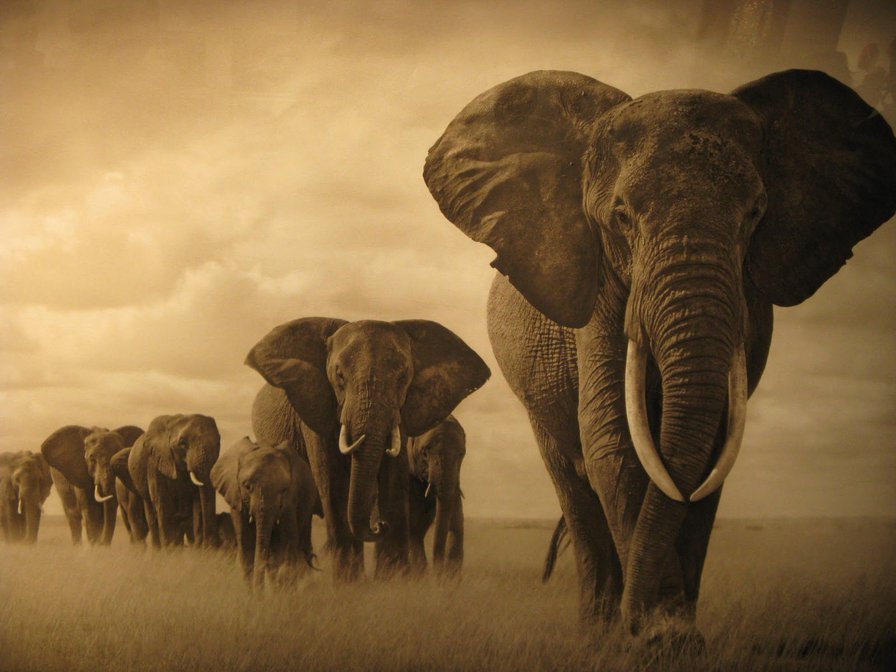 Природа - оригинал