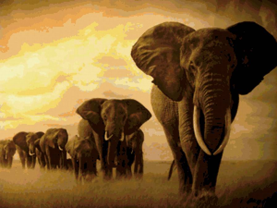 Природа - предпросмотр