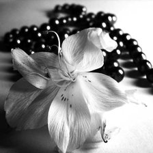 Схема вышивки «цветы»