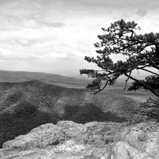 Схема вышивки «Природа»