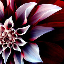 Схема вышивки «70874»