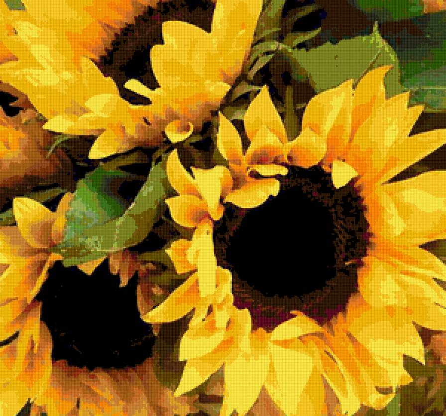 89873 - цветок, розы, букет, роза, цветы - предпросмотр