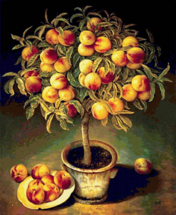 №209971 - предпросмотр