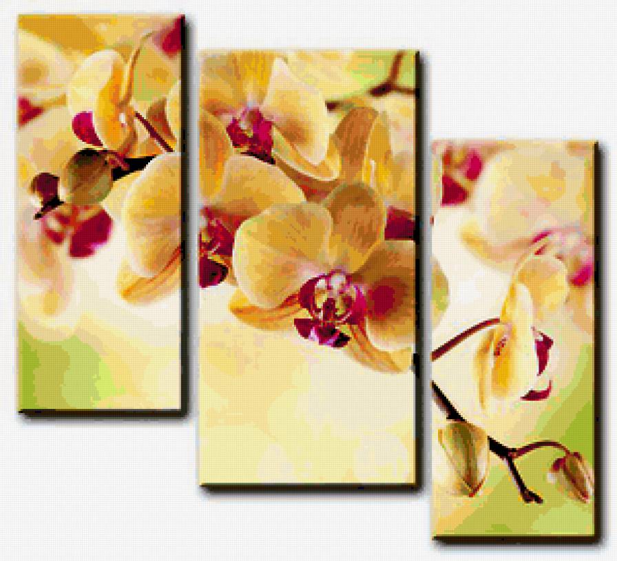 №209978 - предпросмотр