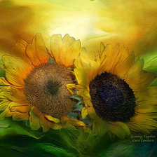 Схема вышивки «подсолнухи»