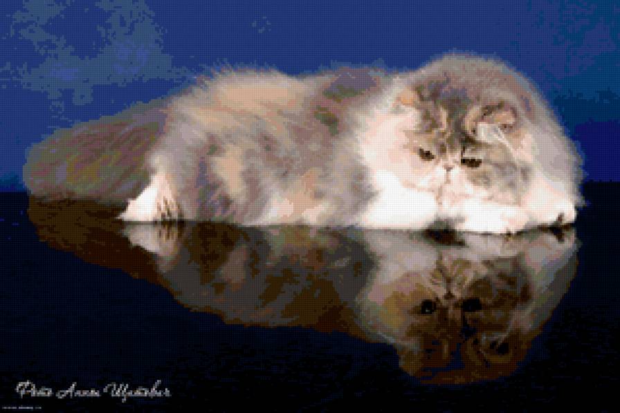 Пушистый  друг - кошка - предпросмотр