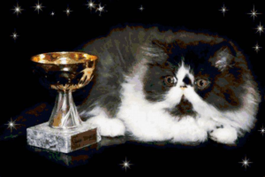 Серия : кошки - перс - предпросмотр