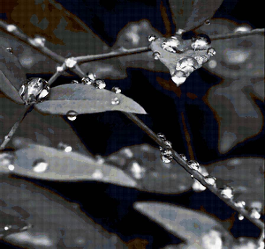 Цветы - предпросмотр