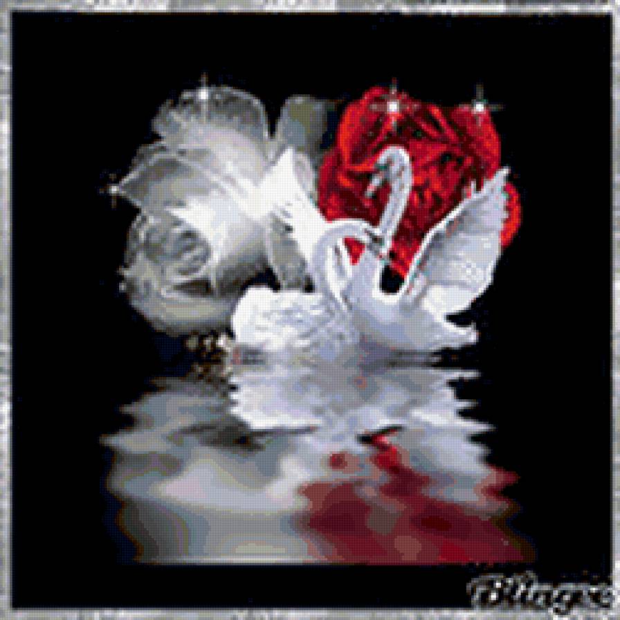 Лебеди 2 - пара, любовь, лебеди - предпросмотр