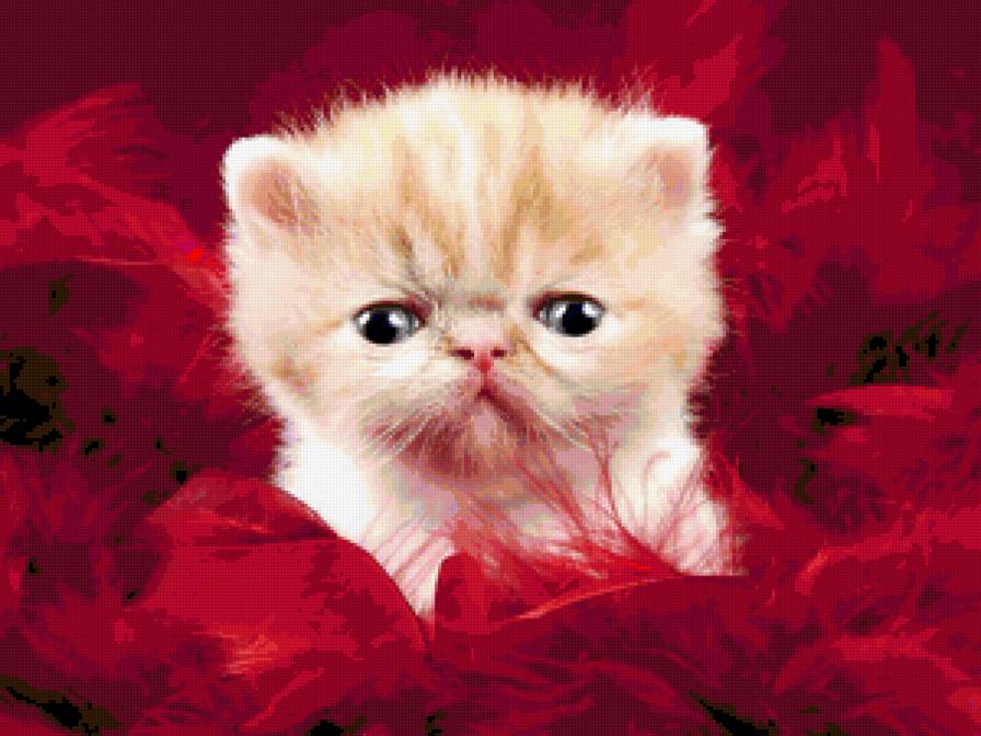 Гламурный котенок. - котята., кошки - предпросмотр