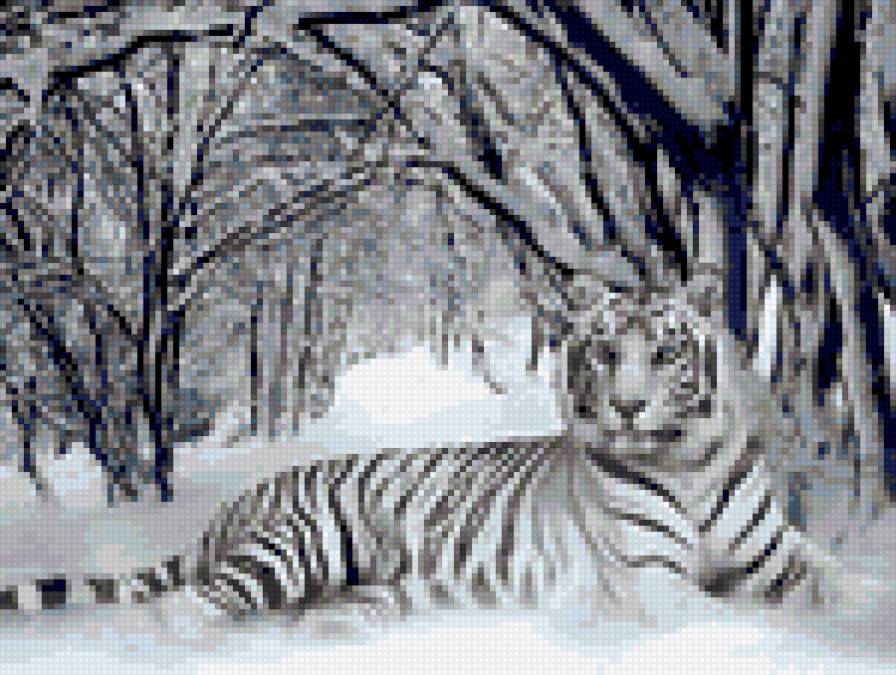 tigra - предпросмотр