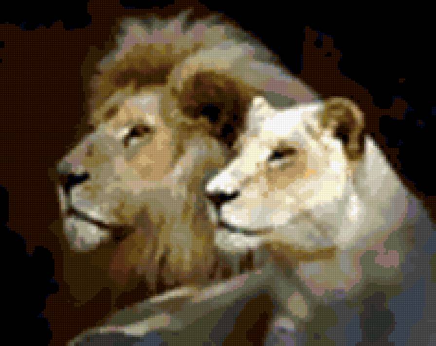 Львы - царь зверей, лев, на черном, животные - предпросмотр