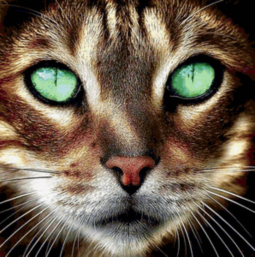 28 - предпросмотр