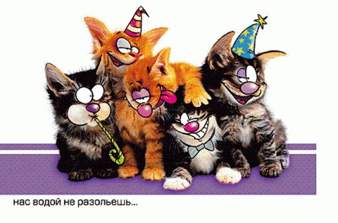 нас водой не разольешь - оригинал