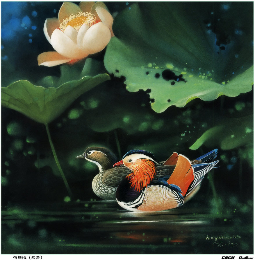 мандаринки - птицы - оригинал