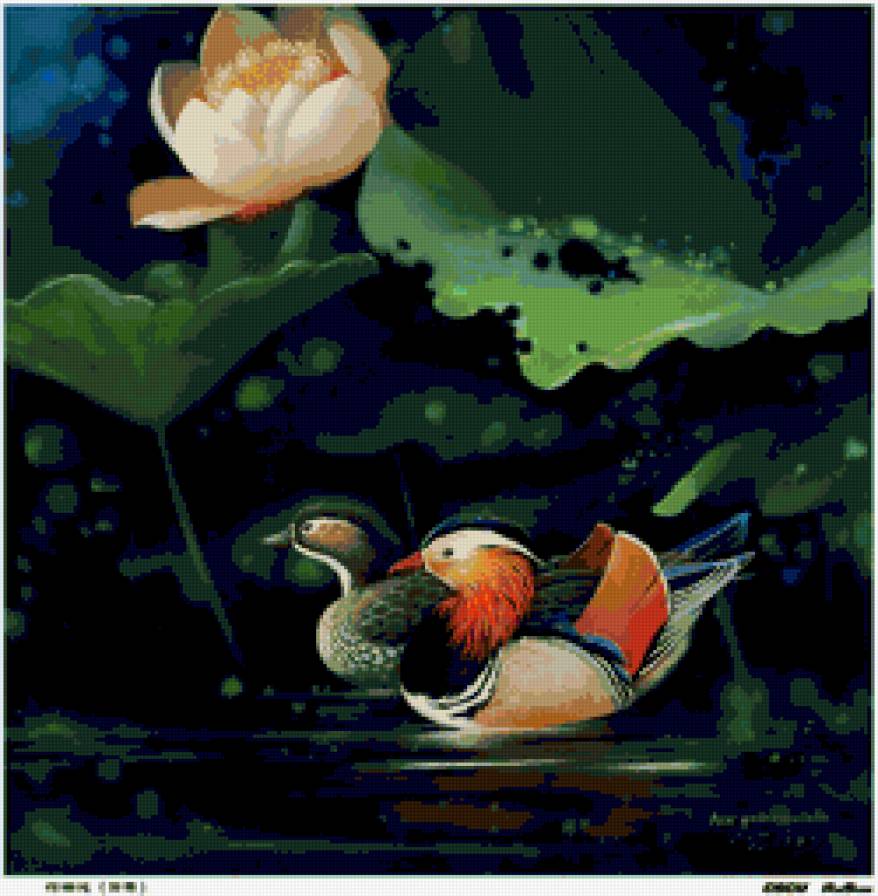 мандаринки - птицы - предпросмотр