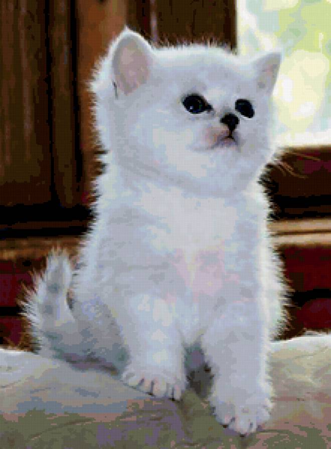 №210891 - предпросмотр