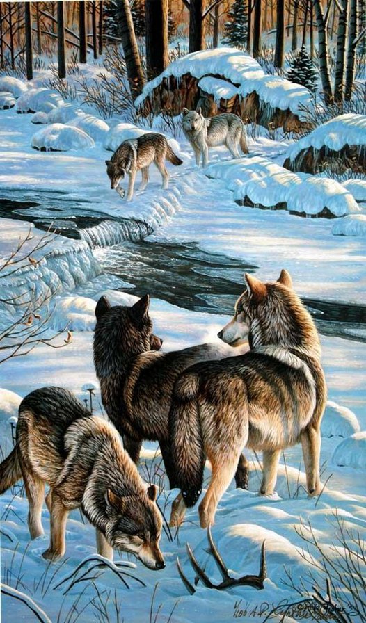 №211101 - оригинал