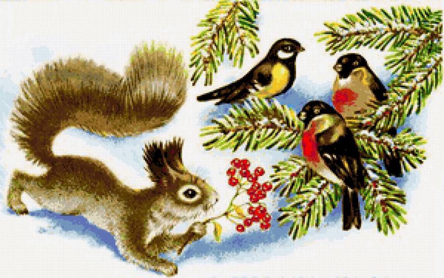 Белочка и птички - птицы, белочка, птички, снегири, животные, синичк, белки, рябина - предпросмотр