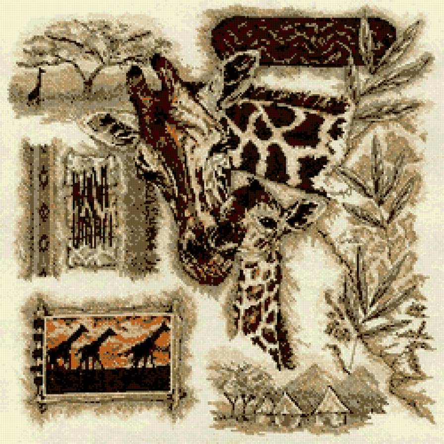 ;bhfas - предпросмотр