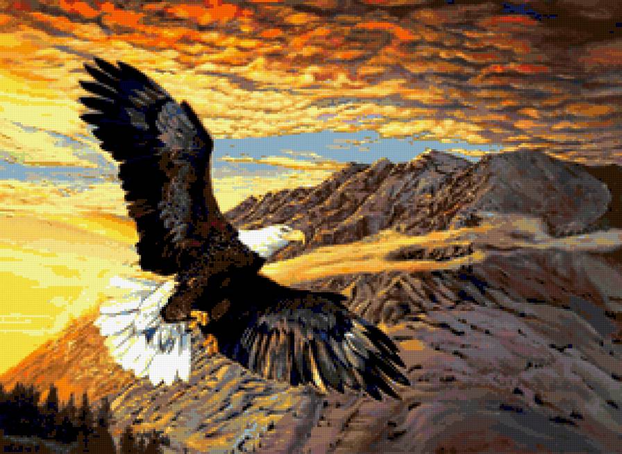 №211565 - предпросмотр