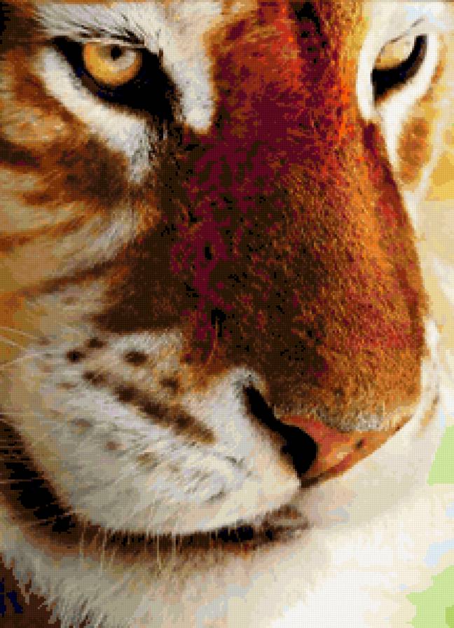 №211572 - тигр - предпросмотр