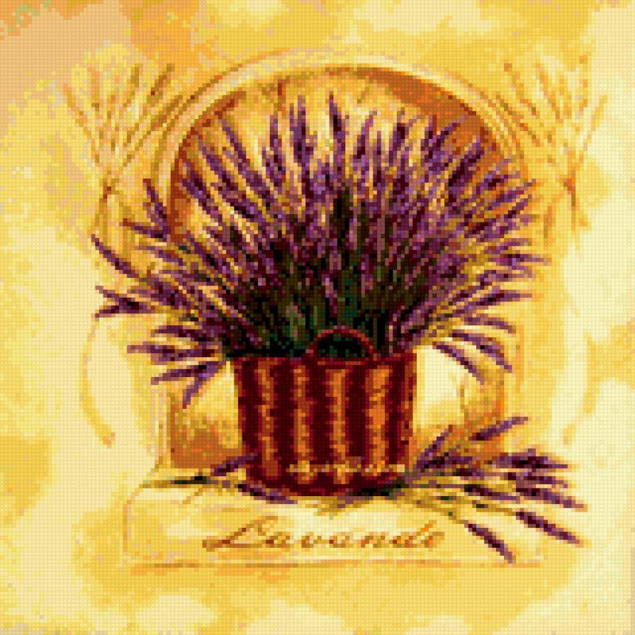 лаванда в горшке - цветы в горшках, прованс, букет, лаванда - предпросмотр