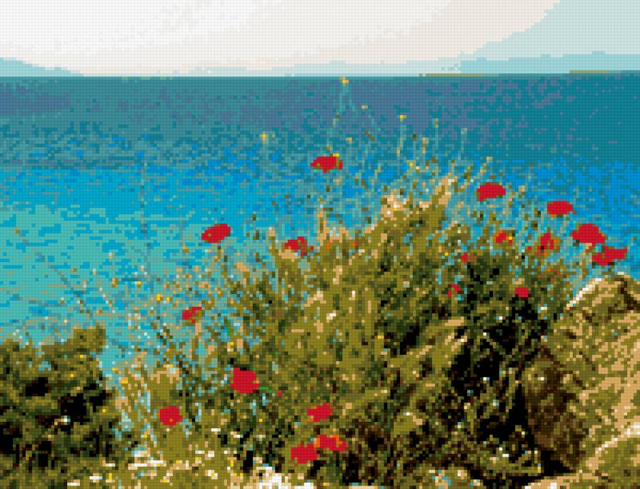 берег моря - маки, море, цветы - предпросмотр