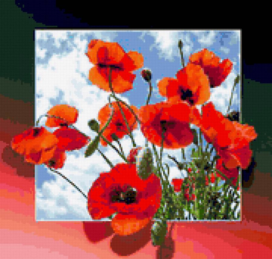 987-98 - роза, розы, цветы, цветок, букет - предпросмотр