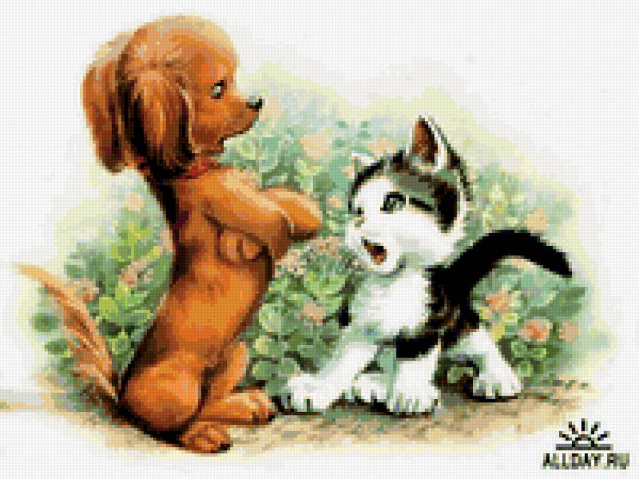 друзья - коты. собаки - предпросмотр