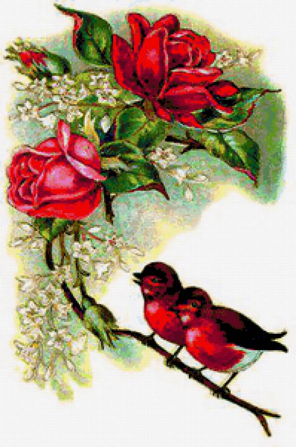 65974 - роза, голубк, малиновка, цветы, веточка, птицы, песенка, снегирь - предпросмотр