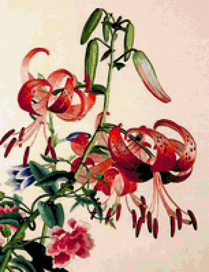 7860 - лилия, цветы, растения, флора, лилейник, лепестки - предпросмотр