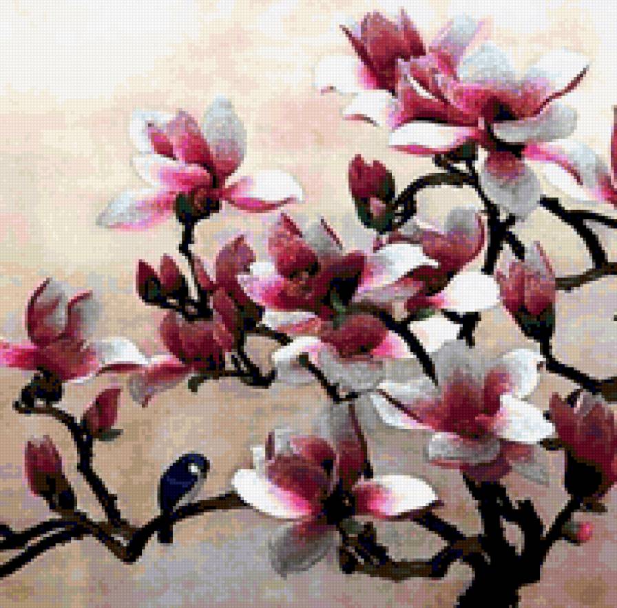 67965 - сакура, куст, цветы, ветка, цветок, цветение - предпросмотр