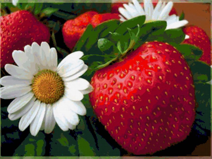786875 - фрукты, букет, ромашки, розы, клубника, цветок - предпросмотр