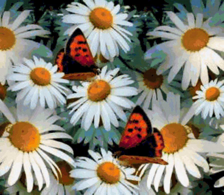 878575 - букет, роза, цветы, бабочка, цветок, розы, ромашки, бабочки - предпросмотр