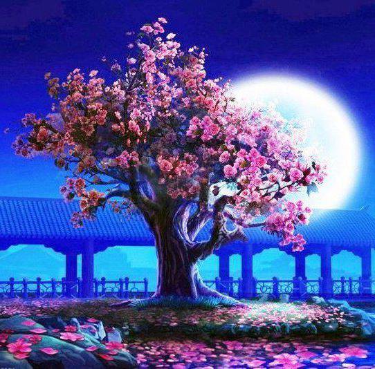 77887 - дерево, пейзаж, луна, сакура, япония, ночь - оригинал