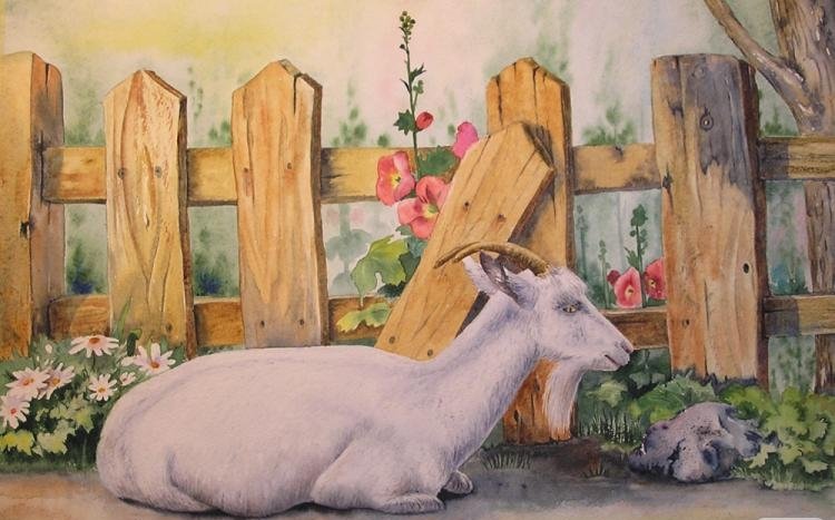 коза у забора - коза, козочка - оригинал