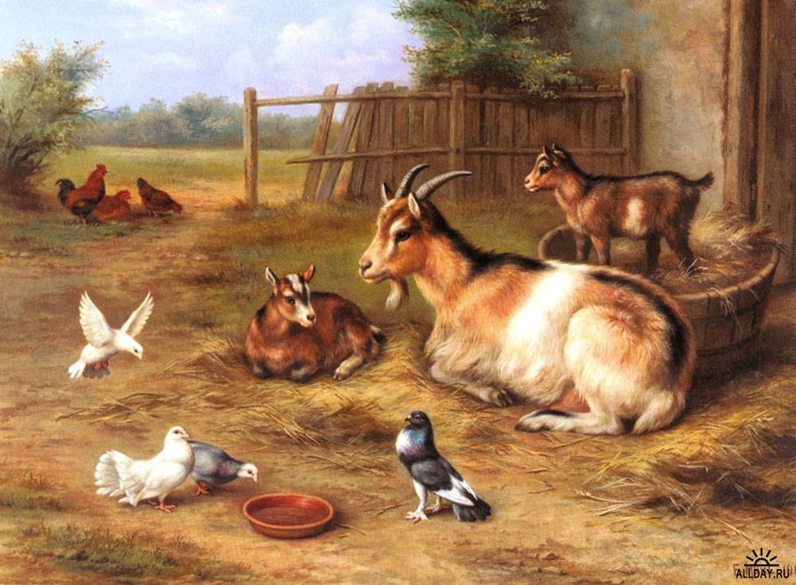 козы - голуби, козлята, козы, куры, коза - оригинал