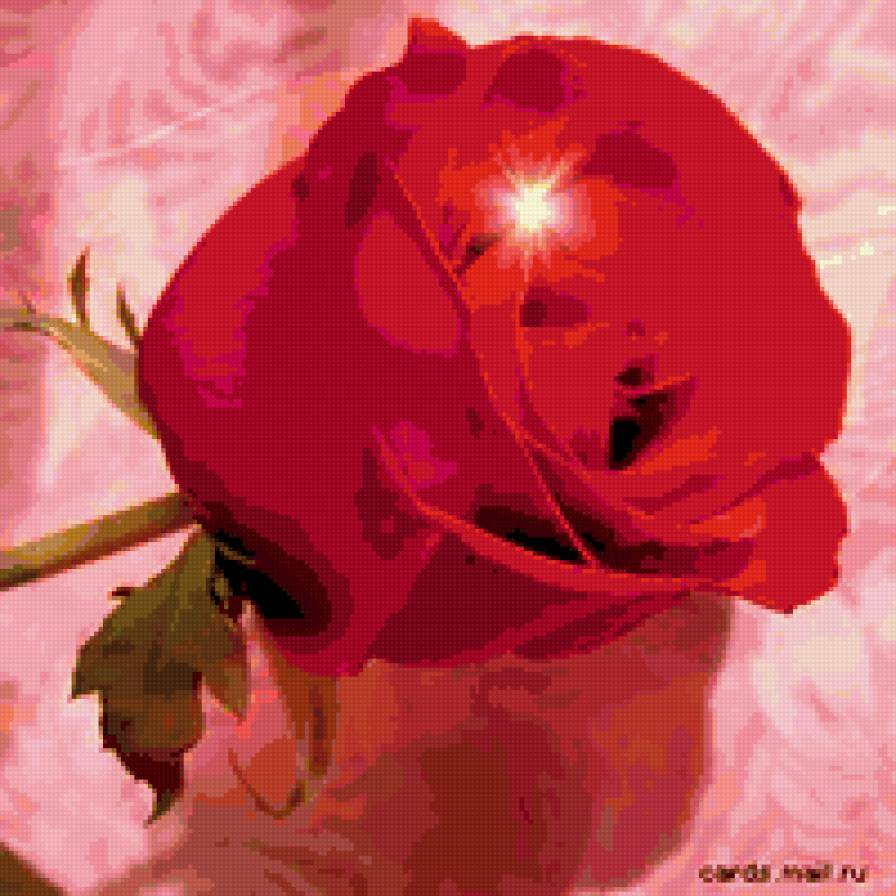 розочка - предпросмотр