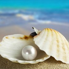 Схема вышивки «ракушка»