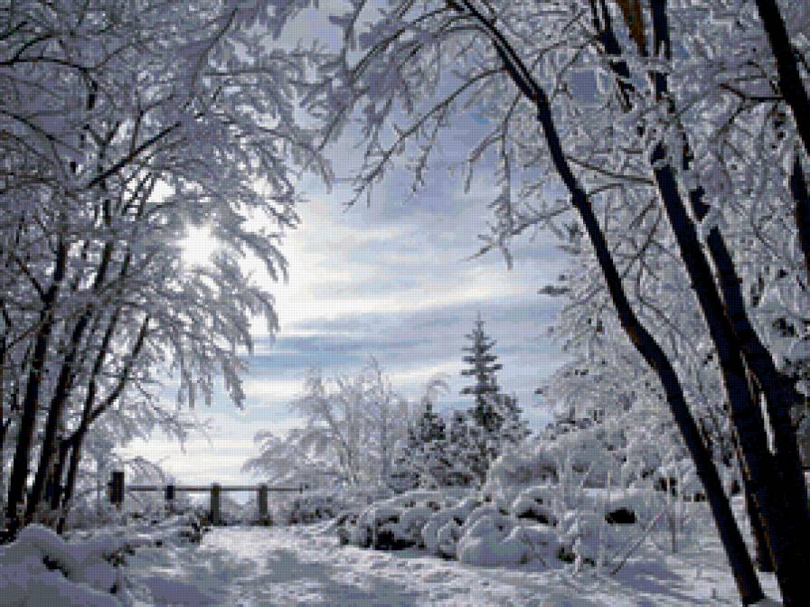 зима - пейзаж, снег, деревья - предпросмотр
