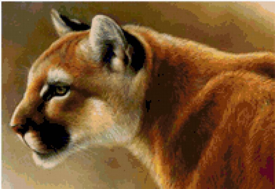 рысь - звери - предпросмотр