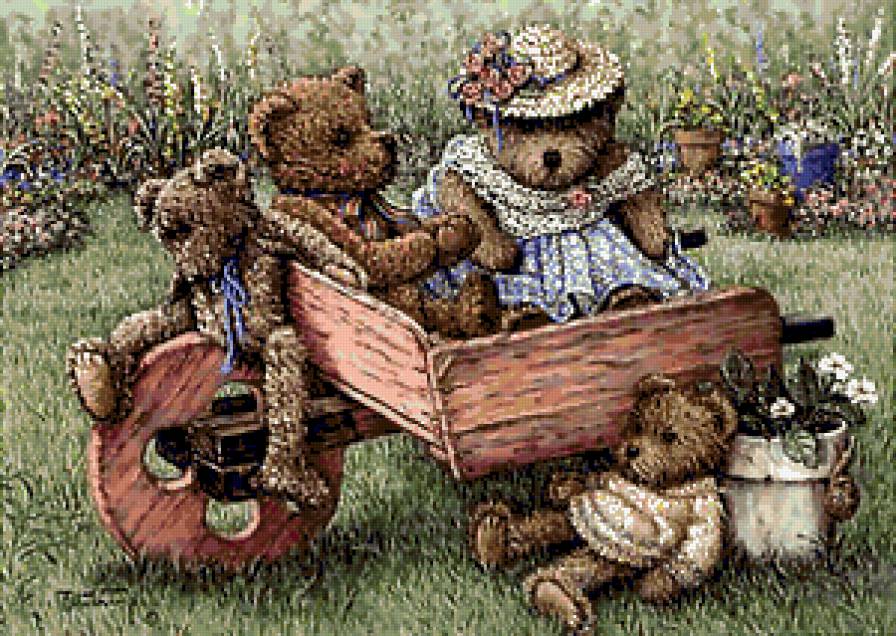 Эми медведей - животное - предпросмотр