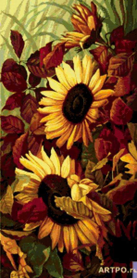 №212861 - предпросмотр