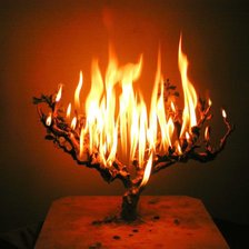 пламя сердца