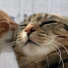 Схема вышивки «любовь»